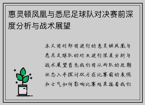 惠灵顿凤凰与悉尼足球队对决赛前深度分析与战术展望